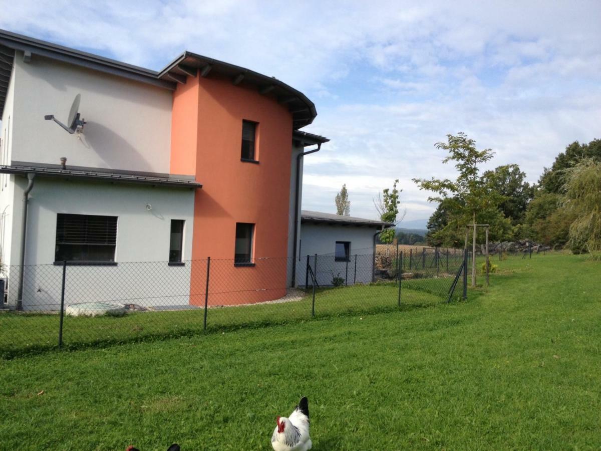 Haus Luna - Privatzimmer Im Sonnigen Suedburgenland Hackerberg Экстерьер фото